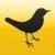 TwitVid