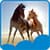 Beautiful Horses Live Wallpapers