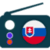 Radio Slovakia - Play Online FM Music 
