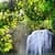 WHITE WATERFALL LWP