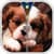 Puppy Screen Unlock