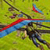 Decayed State Survival
