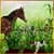 Best Animals Photo Frame