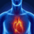 The Heart Disease