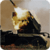 Modern Gunner Simulator