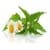 Homeopathic App