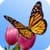 3D Butterfly Garden Wallpaper