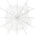Spider Cavern