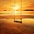 Beautiful Sunsets Live
