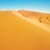 Desert Sand Wallpaper