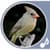 Bird Ringtones and Sounds