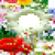  Hd Flower photo frame 