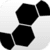 ROIDS Gear App