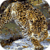 Leopard Hunting Live Wallpaper