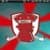 Middlesbrough FC Animated