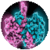 Virus Ebola 