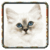 Kitten