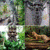 Amazing wallpaper images new
