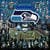 Seattle Seahawks Fan