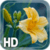 Yellow Flower LWP