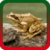 Frogs Ringtones