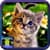 Free Cat Pictures To Download