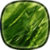 Galaxy S4 Green Leaf LWP HD