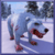 Polar Bear Simulator