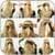 Cool hairstyles