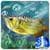 Gold Arowana Live Wallpaper