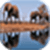Animal wallpaepr images