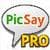 PicSay Pro  Photo Editor base