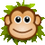 Skip Jack Monkey