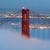 Blue Golden Gate Live Wallpaper