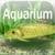 FreshWater Aquarium