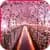 Sakura Live Wallpaper Cherry Blossom Photo Frame 