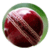 The Cricket Play