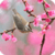Beautiful Spring Live Wallpaper HD