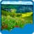 Meadow Live Wallpapers