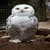 White Snowy Owl Live Wallpaper
