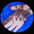 Amazing Pakistani Mehndi Designs