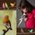 Beautiful Birds Photo Collage