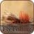 Fly Fishing Free