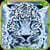 Furious Leopard Simulator 