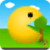 Flap Pac