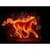 Fire Horse 3D wallpaper HD