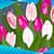 Sweet Tulip Photo Collage