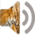 fox songs