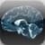Brain Wave - 25 Advanced Binaural Programs