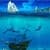 Ocean Dolphins Live Wallpaper